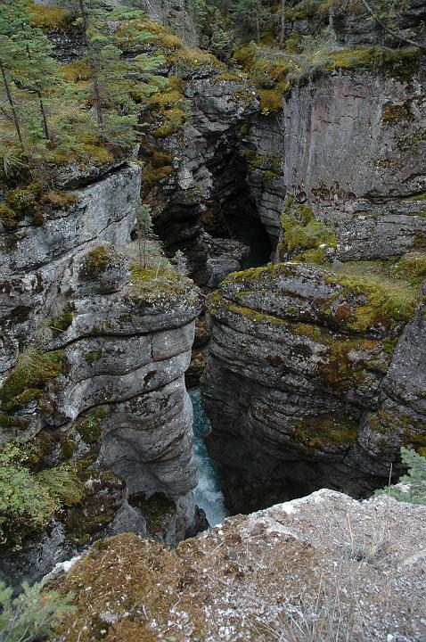 Canyon Maligne (4).JPG